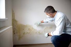 Best Mold Damage Restoration in Plumas Lake, CA